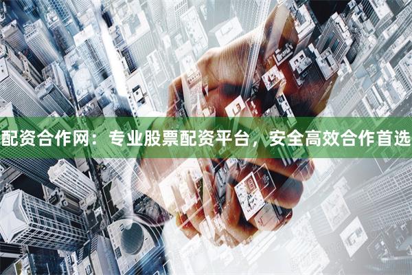 配资合作网：专业股票配资平台，安全高效合作首选