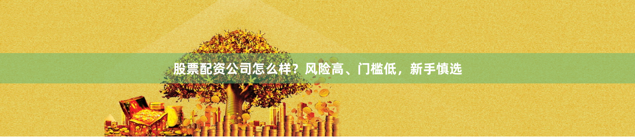 股票配资公司怎么样?风险高、门槛低,新手慎选