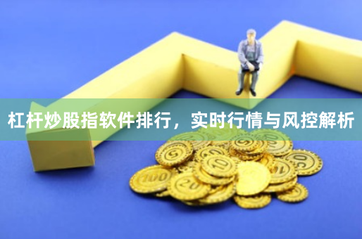 杠杆炒股指软件排行，实时行情与风控解析